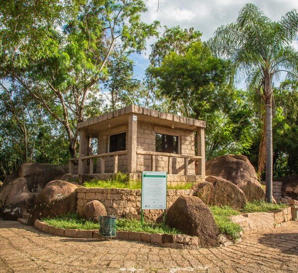 La Construction Écologique en Afrique : Un Avenir Durable et Prometteur
